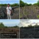 Belum Ada Tindakan, Masyarakat Soroti Dugaan Pembiaran Kerusakan Mangrove di Teluk Pulai
