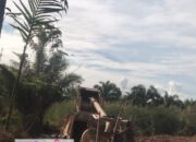 Puluhan PETI Beroperasi 200 Meter dari Kantor Bupati Sijunjung, Diduga Sudah (Dikondisikan) Sehingga Aparat Tutup Mata