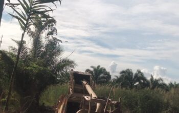 Puluhan PETI Beroperasi 200 Meter dari Kantor Bupati Sijunjung, Diduga Sudah (Dikondisikan) Sehingga Aparat Tutup Mata