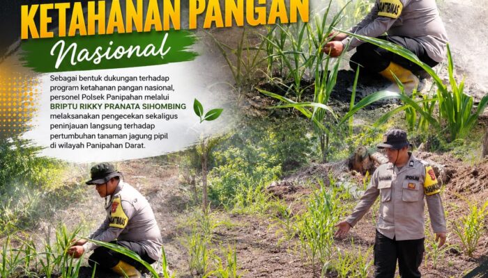 POLSEK PANIPAHAN BERGERAK, KETAHANAN PANGAN TERJAGA
