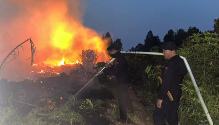 Tak Kenal Waktu, Brimob Riau Berjibaku Padamkan Karhutla di Meranti hingga Malam