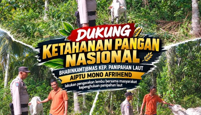 DUKUNG KETAHANAN PANGAN NASIONAL, BHABINKAMTIBMAS KEP. PANIPAHAN LAUT LAKSANAKAN PENGECEKAN TERNAK LEMBU BERSAMA MASYARAKAT