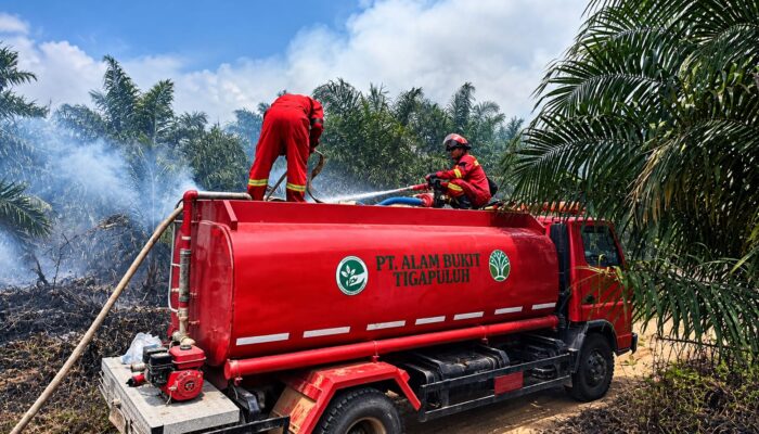 PT ABT Buka Suara Soal Karhutla, Luasan Terbakar Belum Bisa Dipastikan