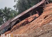 Sawmill Diduga Terus Beroperasi, Pengawasan Polsek Perhentian Raja Dipertanyakan Kinerjanya!