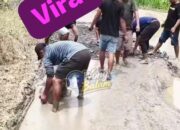 JALAN RUSAK, SOPIR BERJUANG SENDIRI — WABUP JHONY CHARLES: AGEN DAN PEMILIK KEBUN SAWIT WAJIB KELUARKAN CSR UNTUK PERBAIKAN