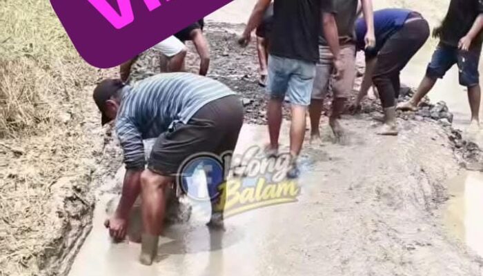 JALAN RUSAK, SOPIR BERJUANG SENDIRI — WABUP JHONY CHARLES: AGEN DAN PEMILIK KEBUN SAWIT WAJIB KELUARKAN CSR UNTUK PERBAIKAN