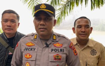 TERTIBKAN PETI DI PERBATASAN PUNTIKALO-TELUK LANGKAP PETUGAS DILEMPARI BATU DAN KAYU SAAT TERTIBKAN PETI, POLISI BERIKAN TEMBAK PERINGATAN