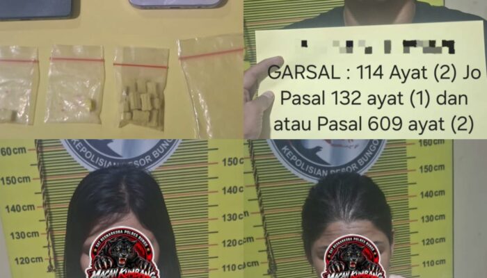 Tim Satreskoba Polres Bungo Ungkap Dugaan Tindak Pidana Narkotika, Dua Wanita Dan Satu Pria Berhasil Diamankan Beserta Barang Bukti Pil Ekstasi