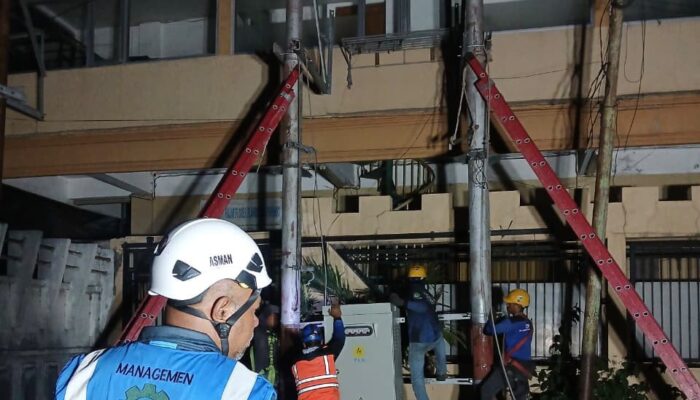 81 Tahun Terangi Negeri, PLN Pacu Energi Hijau dan Perkuat Keandalan Listrik Nasional