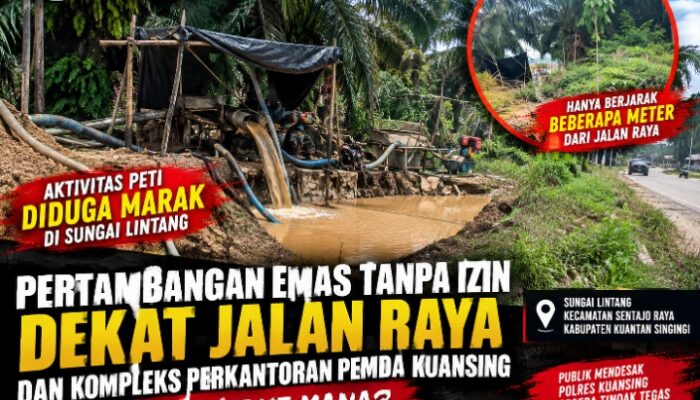 PETI Diduga Marak di Sungai Lintang, Aktivitas Tambang Emas Disebut Hanya Meteran dari Jalan Raya