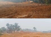 PETI di Kenagarian Kari Disorot, Kapolri Didesak Evaluasi Kapolres Kuansing, Lokasi Dugaan PETI Sudah Diterima Kapolres