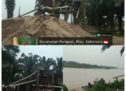PETI Pangean Diduga Merajalela, Nama Purik, Dinson, Ongku Iyas, Bidin, Dirli dan Awi Disorot, Dugaan Uang Koordinasi Mencuat