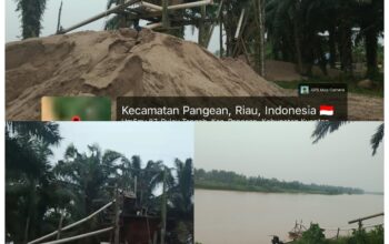 PETI Pangean Diduga Merajalela, Nama Purik, Dinson, Ongku Iyas, Bidin, Dirli dan Awi Disorot, Dugaan Uang Koordinasi Mencuat