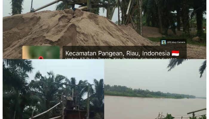 PETI Pangean Diduga Merajalela, Nama Purik, Dinson, Ongku Iyas, Bidin, Dirli dan Awi Disorot, Dugaan Uang Koordinasi Mencuat